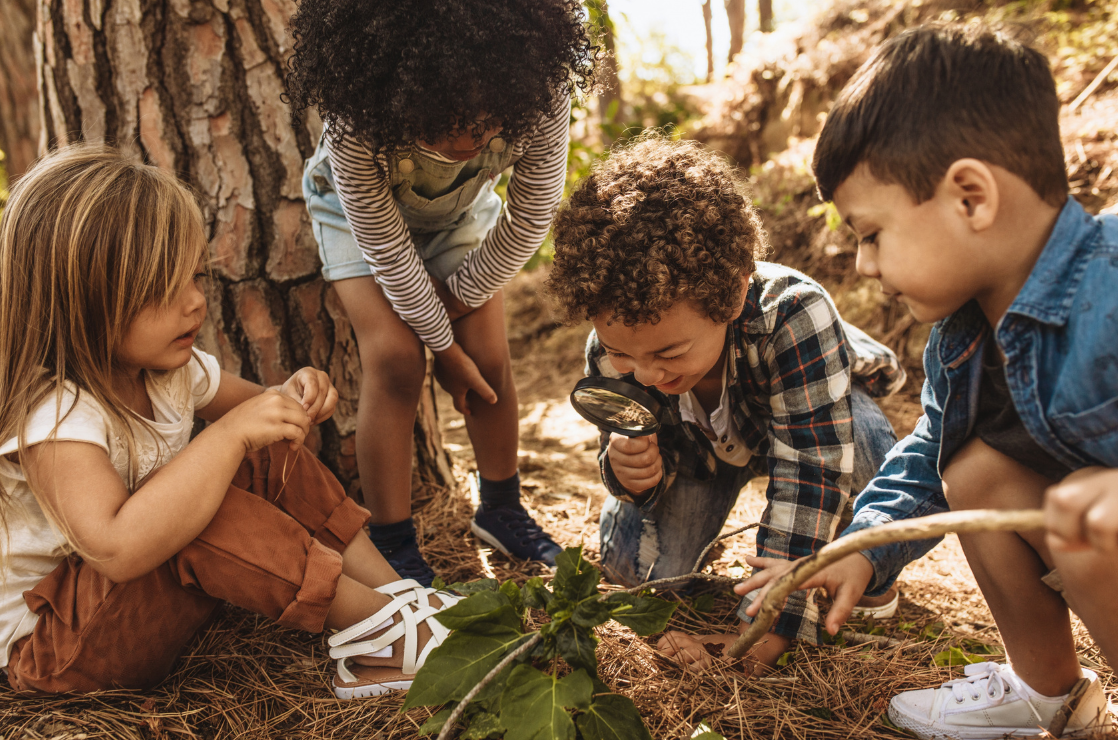 Children exploring the Woods